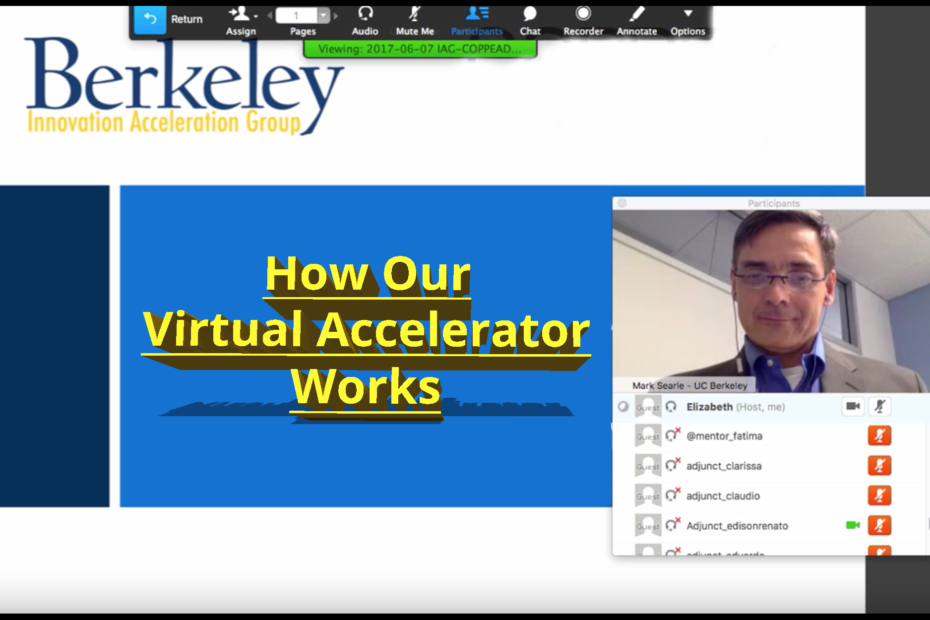 What is a Virtual Accelerator? - Innovation Acceleration Group